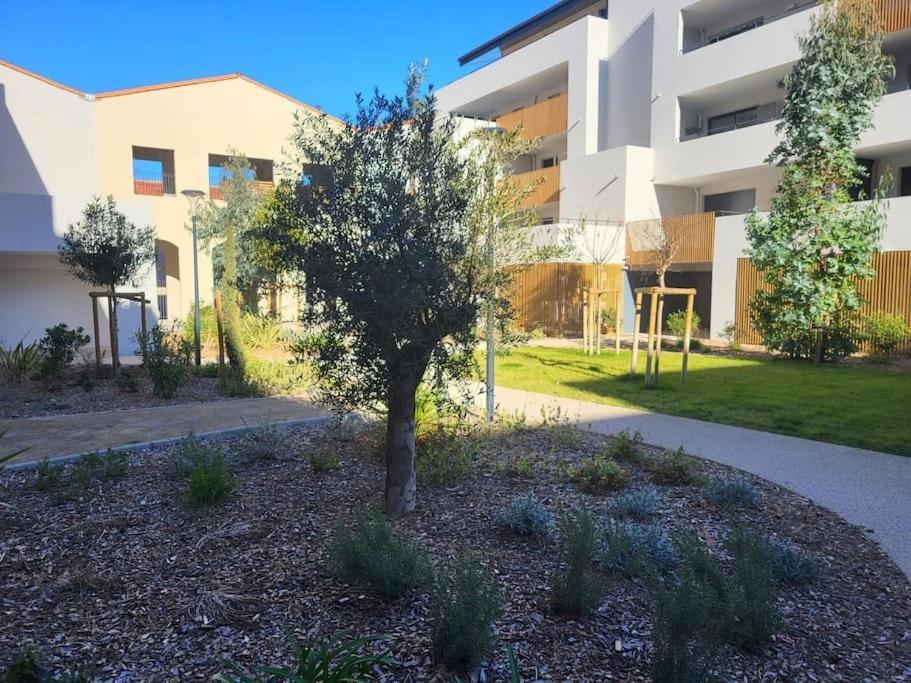 L'Appartement De L'Artiste Marseillan  Dış mekan fotoğraf